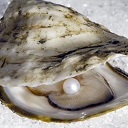 Oysters Can Change Gender Back and Forth.
