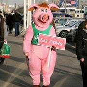 Eat Cows