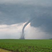 Photograph a Tornado