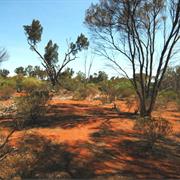 Goongarrie National Park (WA)