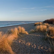 Dunwich