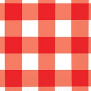 Any Item Made of Gingham