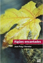 Aigües Encantades (Joan Puig I Ferreter)