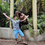 Met Blue at Raptor Encounter