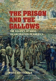 The Prison and the Gallows: The Politics of Mass Incarceration in America (Marie Gottschalk)