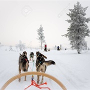 Sledding En Snowmobiling in Lapland, Finland