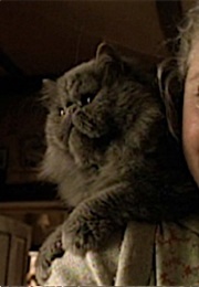 Duchess, Babe (1995)