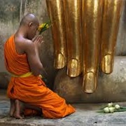 See a Buddhist Monk