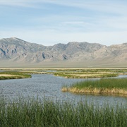 Fish Springs National Wildlife Refuge
