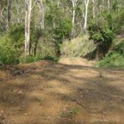 Bulburin National Park (QLD)