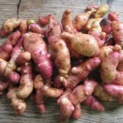 Pink Fir Apple Potato