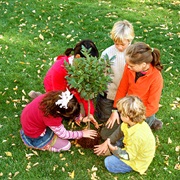 Do Some Volunteer Work