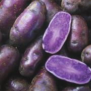 Purple Potatoes