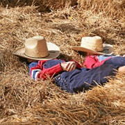 Sleep in a Stable on a Haystack