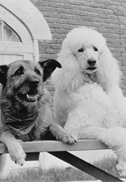 Look Who's Talking Now (1993)