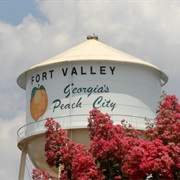 Fort Valley, Georgia