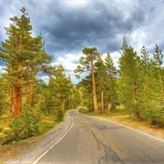 Ebbetts Pass Scenic Byway
