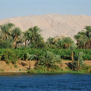 Nile Cruise
