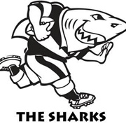 Sharks (Super Rugby)