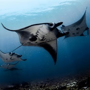 Komodo National Park, Indonesia