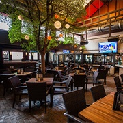 Berries in the Grove