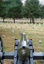 Captured Alive (1995)