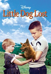 Little Dog Lost (1963)