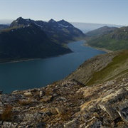 Arnøya