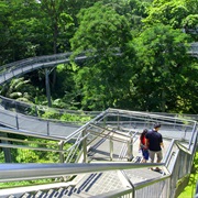 Go Hiking at Mount Faber