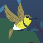 Meadowlark