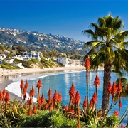 Laguna Beach