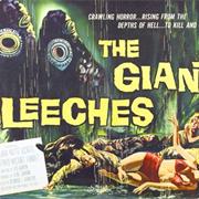 406 - Attack of the Giant Leeches