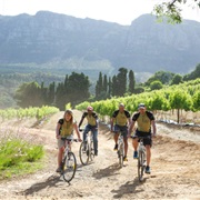 Do a Winelands Cycle Tour
