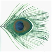 XTC - Apple Venus Volume 1