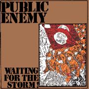 Public Enemy: Waiting for the Storm EP