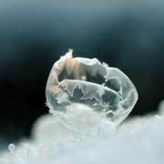 Freezing Soap Bubbles