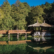 Alishan Forest Recreation Area, Taiwan