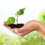 Do Something Good for the Environment