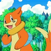 Buizel