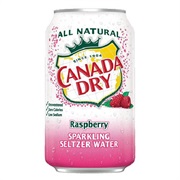 Canada Dry Sparkling Seltzer Water Raspberry