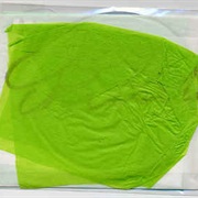 Christina Carter - Coupled