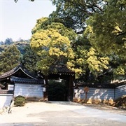 Shoren-In Temple