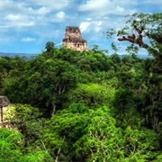 Tikal, Guatemala