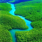 Faire Une Randonnée Dans La Foret Amazonienne