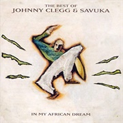 Dela - Johnny Clegg, Savuka