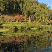 Hilgard Junction State Park, Oregon