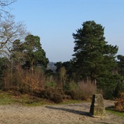 Hydon's Ball and Heath (NT)