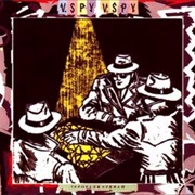 Spy vs. Spy - Harry's Reasons?