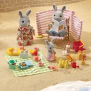 Babblebrooks' Beach Picnic