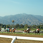 Santa Anita Park, Arcadia, CA
